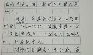 描写开远崇文小学景色的作文5百字 小学生风景作文