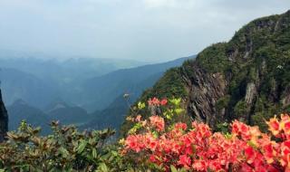 阳明山现在有雾凇吗 阳明山公园