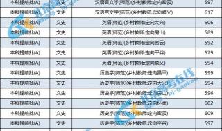 国内哪家独立学院或者三本学校汉语言文学系最强 汉语言文学专业排名