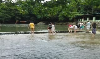 深圳杨梅坑钓鱼攻略 杨梅坑旅游攻略