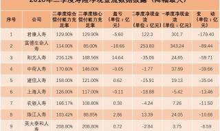 中国寿险保险公司排名前十 中国寿险公司排名